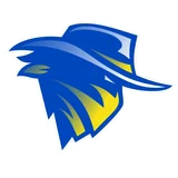 Brisbane Bandits