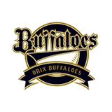 Orix Buffaloes