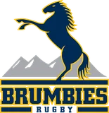 Brumbies